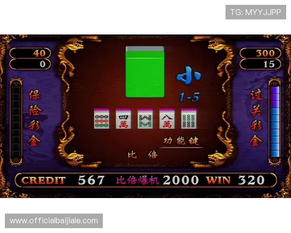 探索AG真人龙虎的最新游戏技巧与策略提升你的胜率