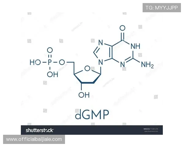dg视讯游戏平台推荐2024年最受欢迎的优质游戏平台及其特色优势